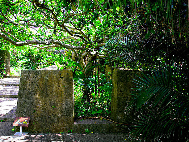 搭乗前でも立ち寄れる！那覇市のパワースポット4選沖縄の観光情報はFeel Okinawa