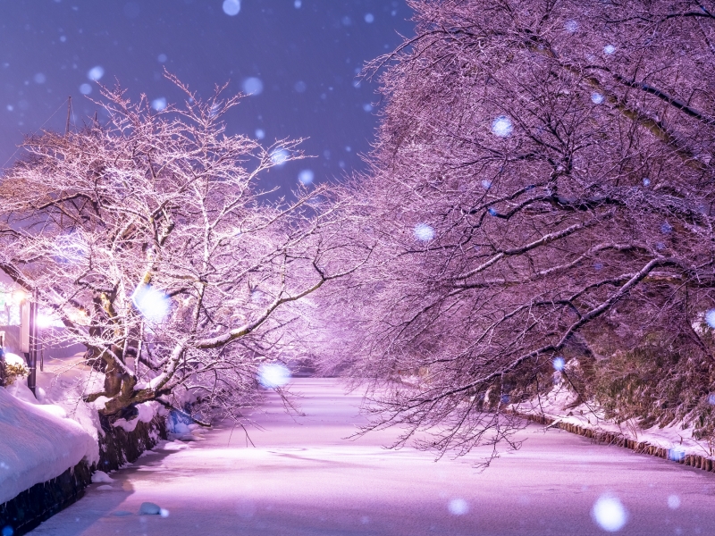 旅行ガイド 冬に行きたい！雪の東北おすすめスポットやグルメをざっくり紹介オトクに旅行するコツも
