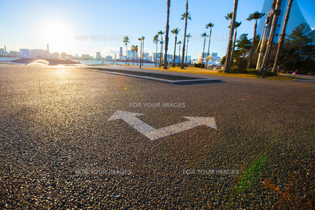 分かれ道の標識イラストのフリー素材イラストイメージ