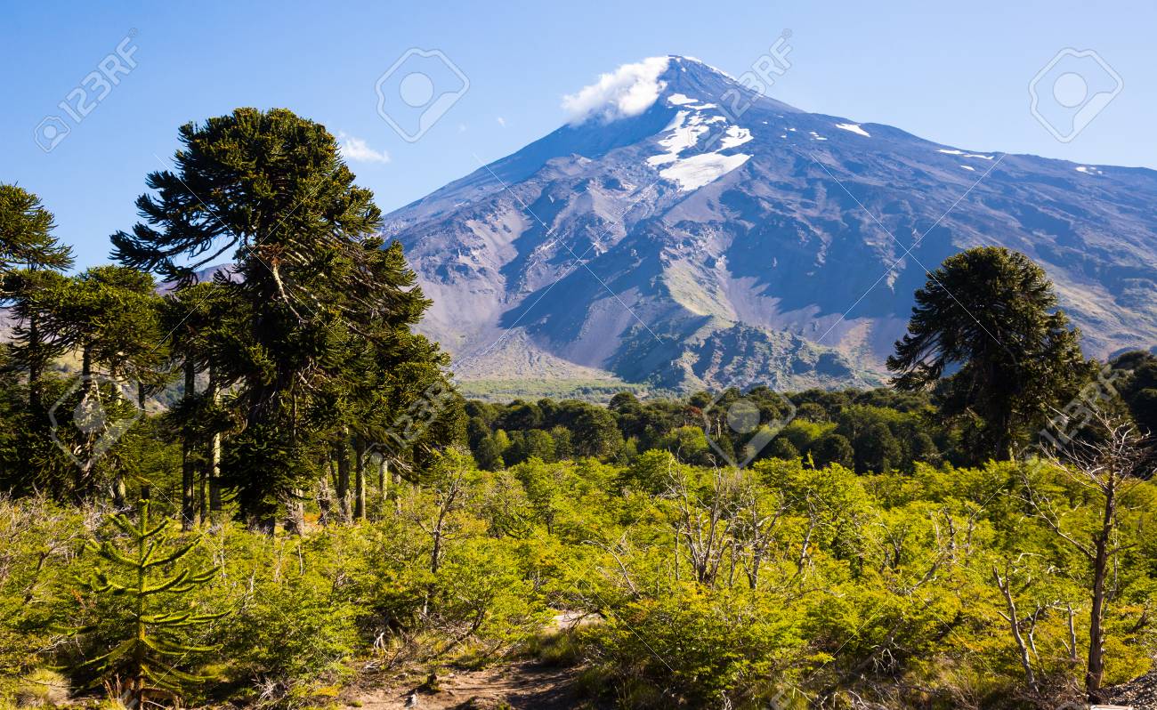 アルゼンチン 「南米大陸の幻想風景」写真展：撮影エリア紹介⑤風景写真家・松井章のブログ