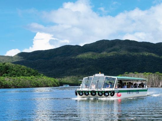 沖縄 牛車で周る備瀬のフクギ並木Trip.com 本部町