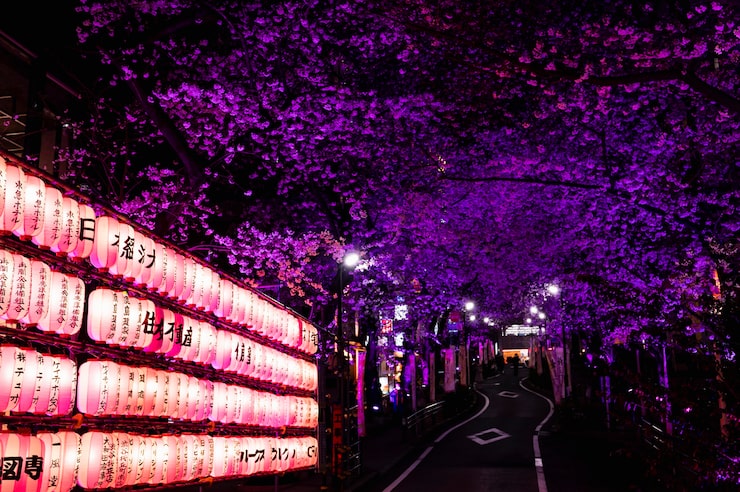 京都府で無料の夜景スポット