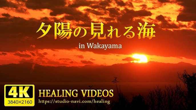 有田みかん海道展望台 絶景ドライブコースの3大魅力を紹介