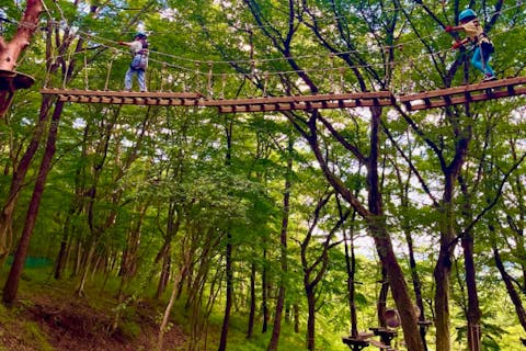 2025年版 那須・那須塩原で楽しみたい紅葉スポット8選 -