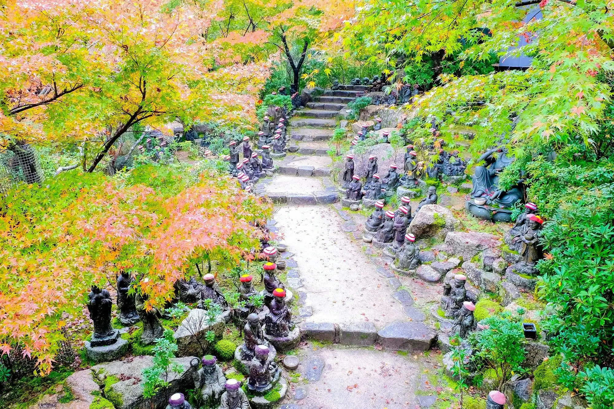 宮島弥山大本山 大聖院の初詣情報初詣特集2025