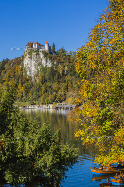 ブレッド湖 ～ヨーロッパで一番ロマンチックな湖 みゅうロンドンブログオプショナルツアー・現地ツアーの みゅう