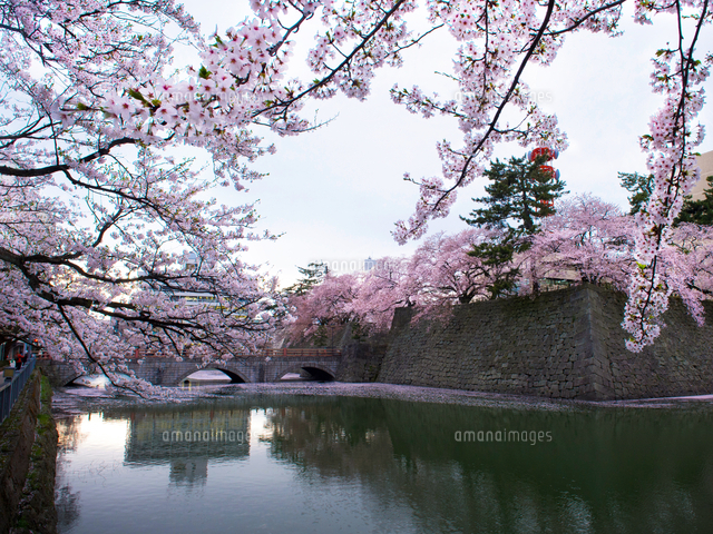 福井城址 アクセス・営業時間・料金情報 - じゃらんnet