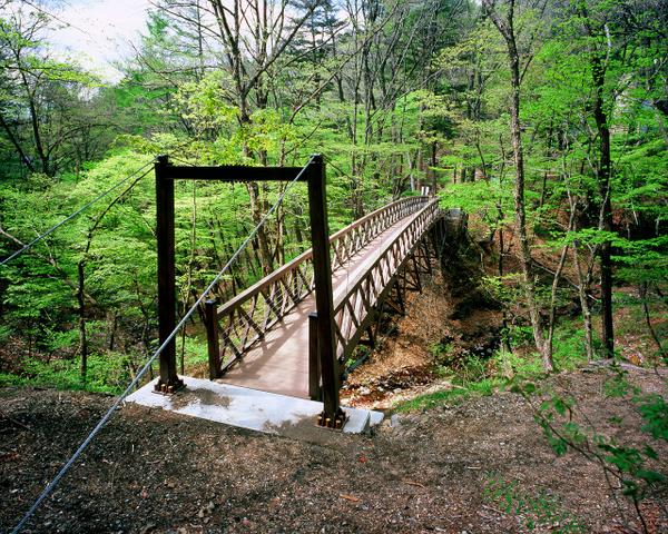 朝の旧碓氷峠見晴台から望む妙義山などの山並みと紅葉の樹林 10247014562 の写真・イラスト素材アマナイメージズ