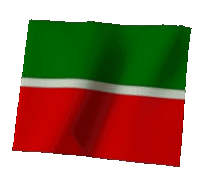 タタールスタン共和国地図ベクトル - タタルスタン共和国のベクターアート素材や画像を多数ご用意 - タタルスタン共和国,