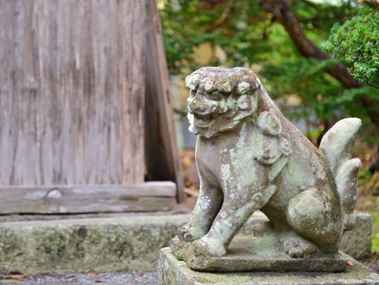 カッパ淵へは景色を楽しみながらサイクリングがおすすめ！ 片道5km、所要時間は約25分。今回はサイクリングマップの最短コースを走ってみました🚲カッパ淵には歩いて行く必要があるので、遠野駅前の観光協会@tonojikanで自転車をレンタルしたら、伝承園の駐車場を