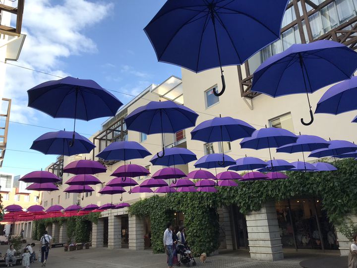 2025年最新 清里・小淵沢・八ヶ岳・韮崎おすすめ観光名所32選！定番から穴場まで