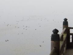 上立神岩：日本の奇岩百景プラス