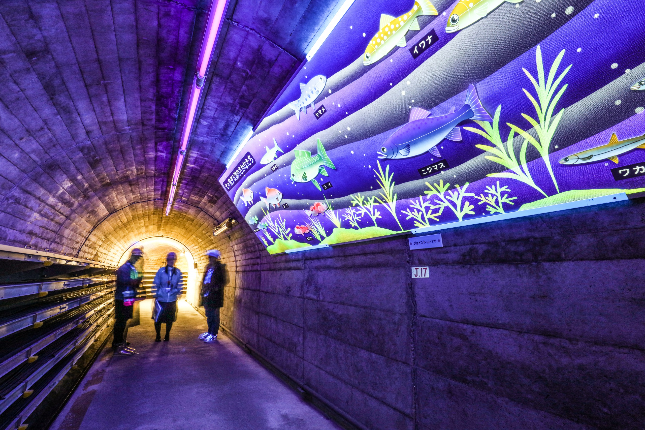 宮城・仙台のおすすめドライブスポット14選！自然の絶景と歴史を堪能しよう