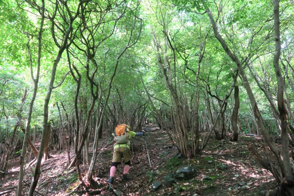 入道ヶ岳に登山！椿大神社の御神体である入道ヶ岳は伊勢平野から伊勢湾や知多半島まで見渡す事ができる、とても眺めの良い山でした。 - Take me
