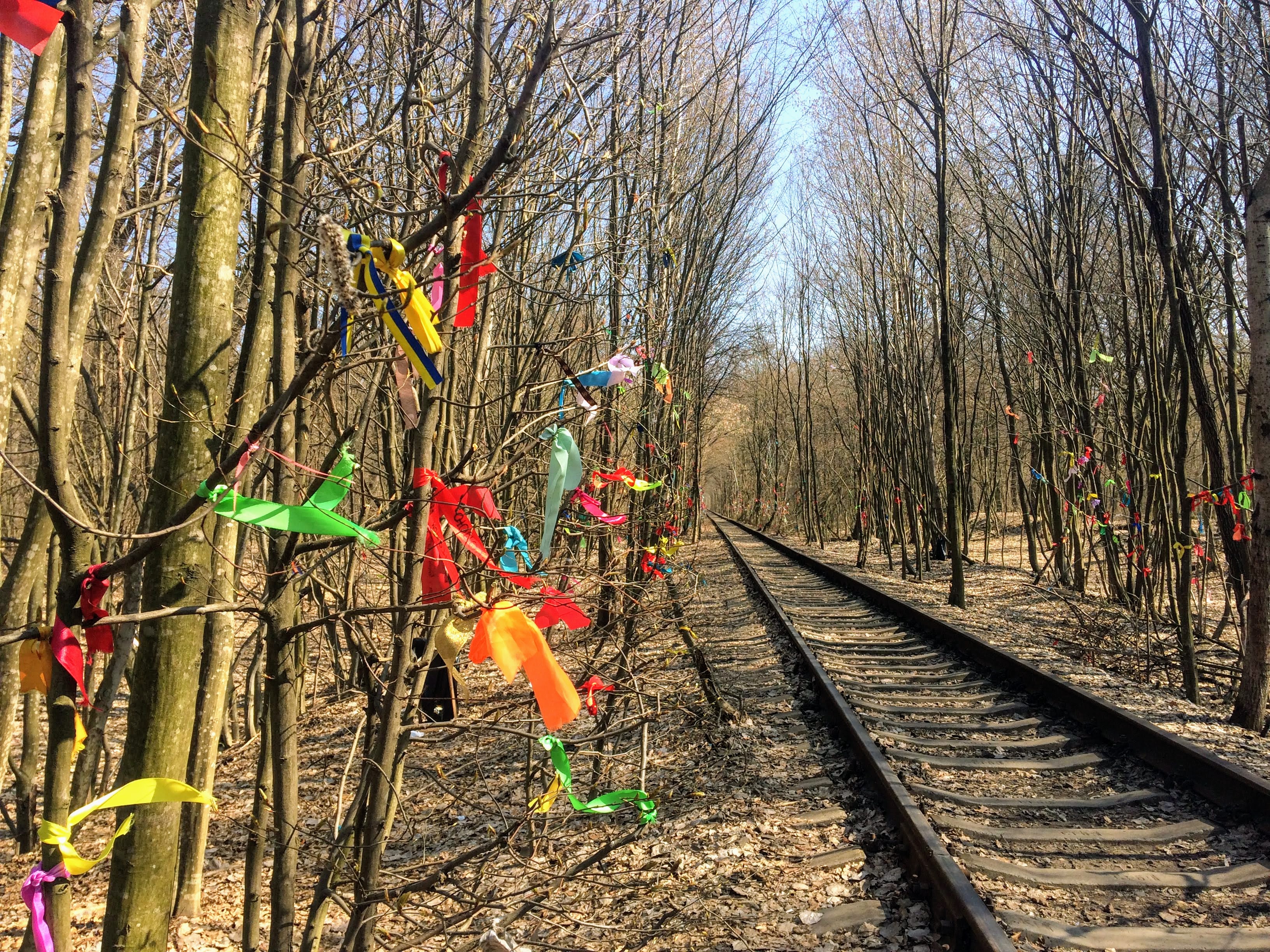 ウクライナの秘境！？恋のトンネルの行き方世界一周フォトたび