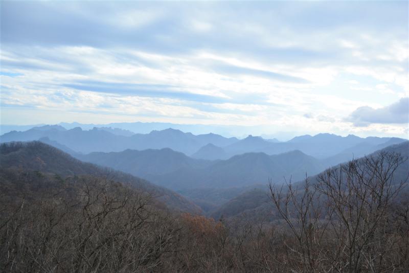 避暑地でワンちゃんOK！軽井沢の老舗茶屋「しげの屋」で江戸時代気分