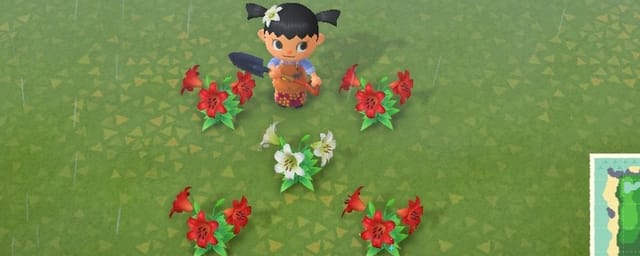 あつ森 花の交配の方法と組み合わせ一覧 あつまれどうぶつの森AppMedia