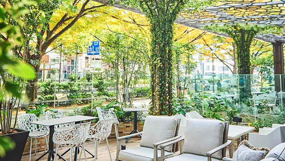 表参道でビアガーデン！テラス席でお酒を楽しめるお店10選食べログまとめ