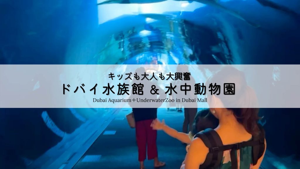 ダイナミックな水槽のドバイ水族館 アラブ首長国連邦・ドバイワウネタ海外生活