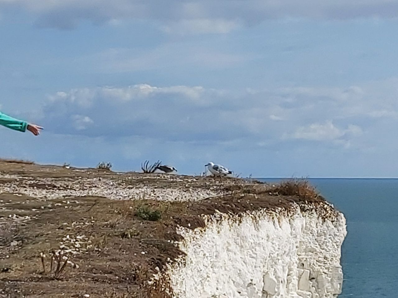ある夏の日のセブンシスターズロンドンからの一人小旅行』セブン・シスターズ周辺 イギリス の旅行記・ブログ