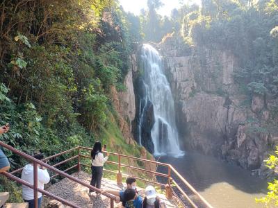 2025年、バンコク発カオヤイ国立公園行きのイチ押し日帰りツアー10選