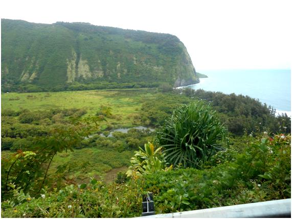 ハワイ島ワイピオ渓谷乗馬ツアー 送迎付きあいらんど・どりーむず