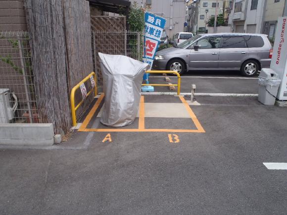 2025年 千島公園 - 出発前に知っておくべきことすべて