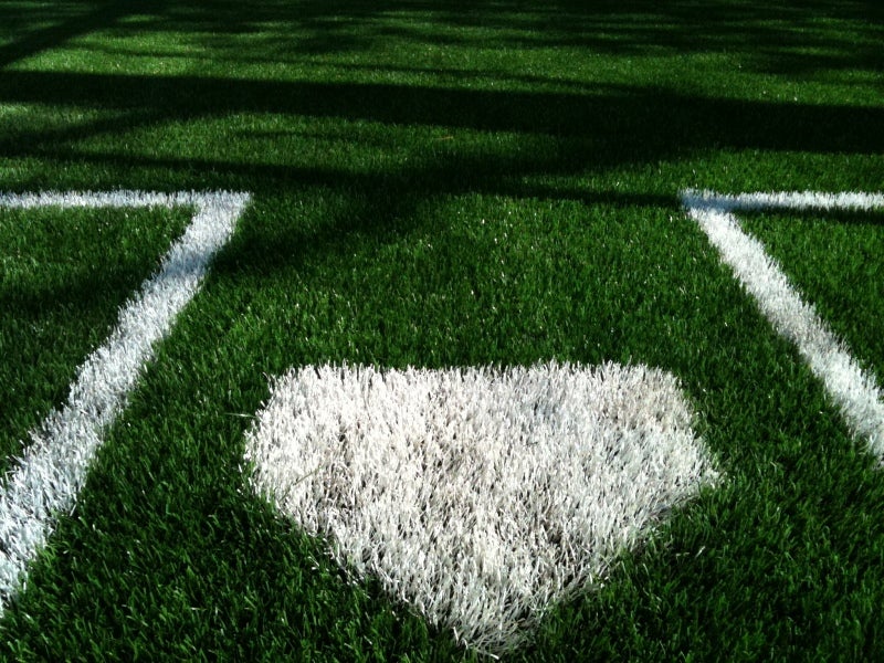 ダグアウト上の応援団、天然芝生の外野席。プロ野球「昔はあって今はないもの」って何!?週刊野球太郎