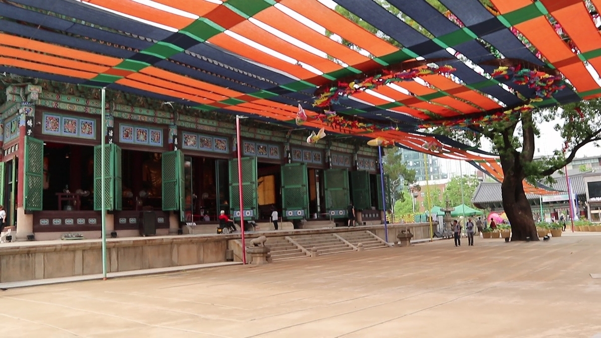 地方・郊外観光韓国 旅行の観光・オプショナルツアー予約 VELTRA ベルトラ