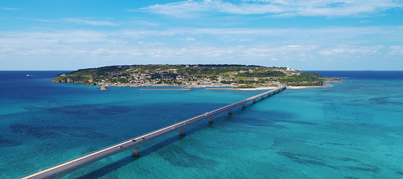 フォトジェニックな貝殻たちがズラリ！『古宇利オーシャンタワー』を堪能 - OKINAWA41