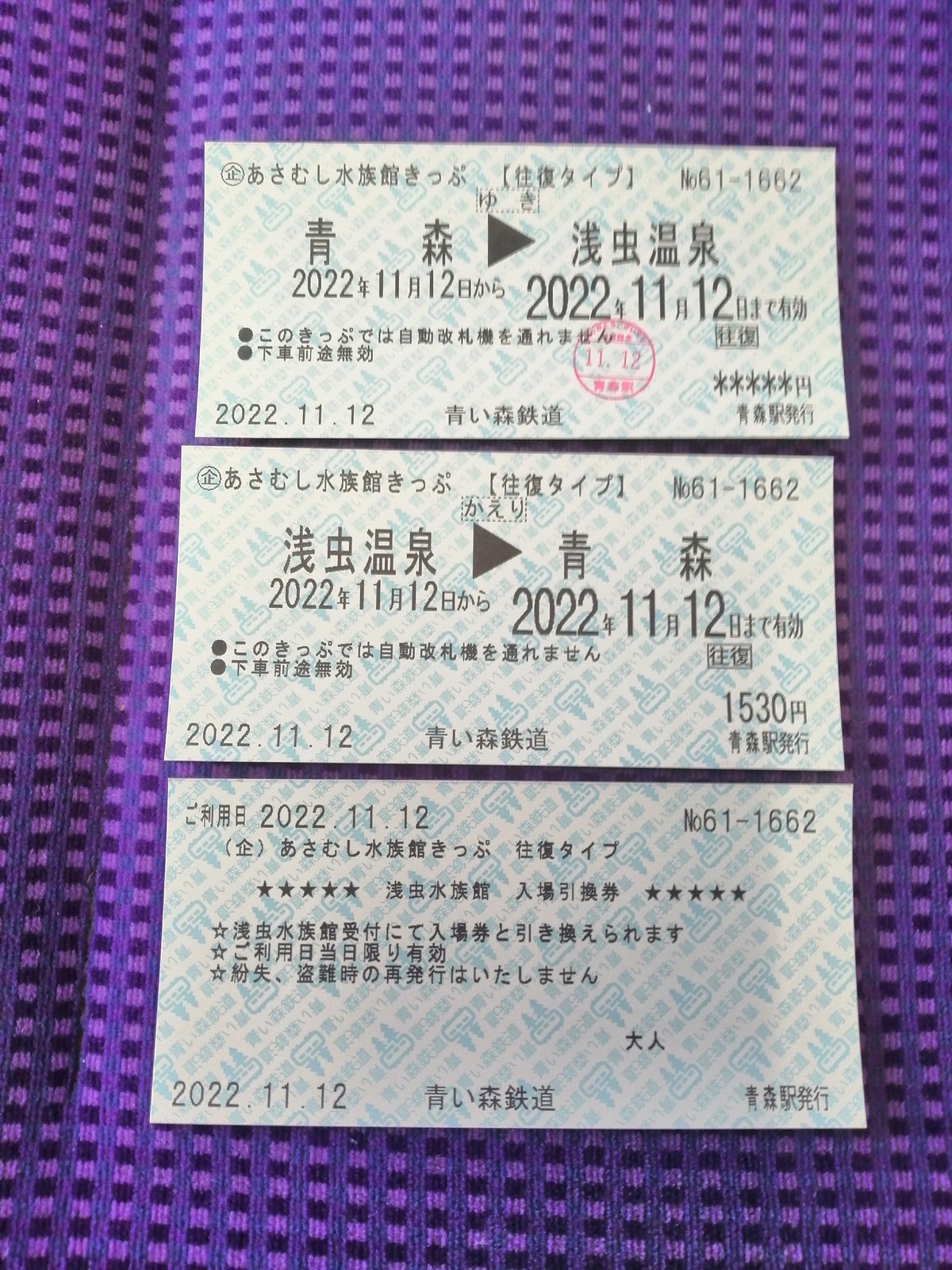 ３３日目 浅虫温泉駅ー青森駅 - 東北本線,東海道本線沿線