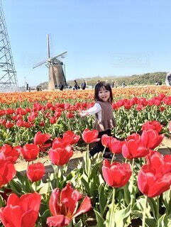 涼を感じに京都へ！ 「京の涼さがし」キャンペーンが開催中ですそうだ 京都、行こう
