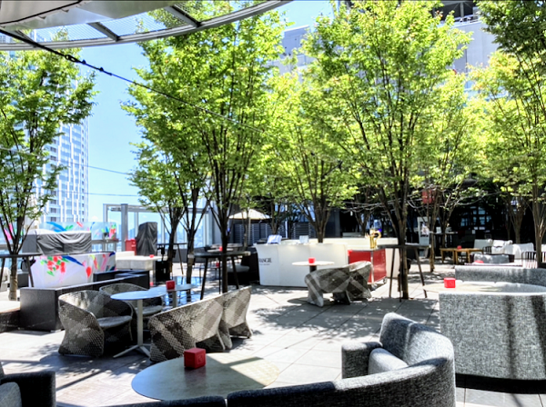 渋谷 都会で癒される、テラス席があるカフェでくつろごう！7選icotto イコット