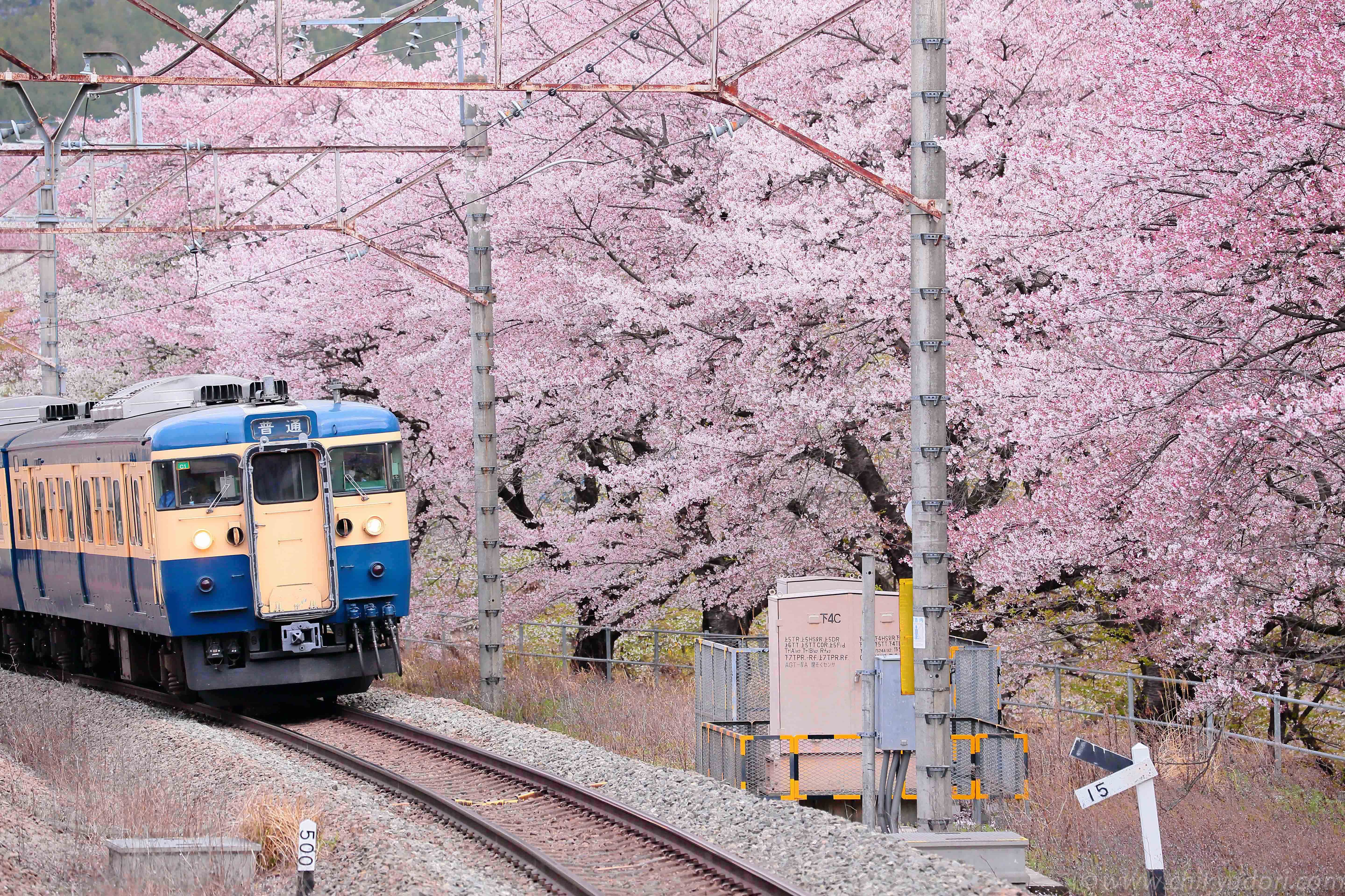 勝沼ぶどう郷駅ニッポン旅マガジン