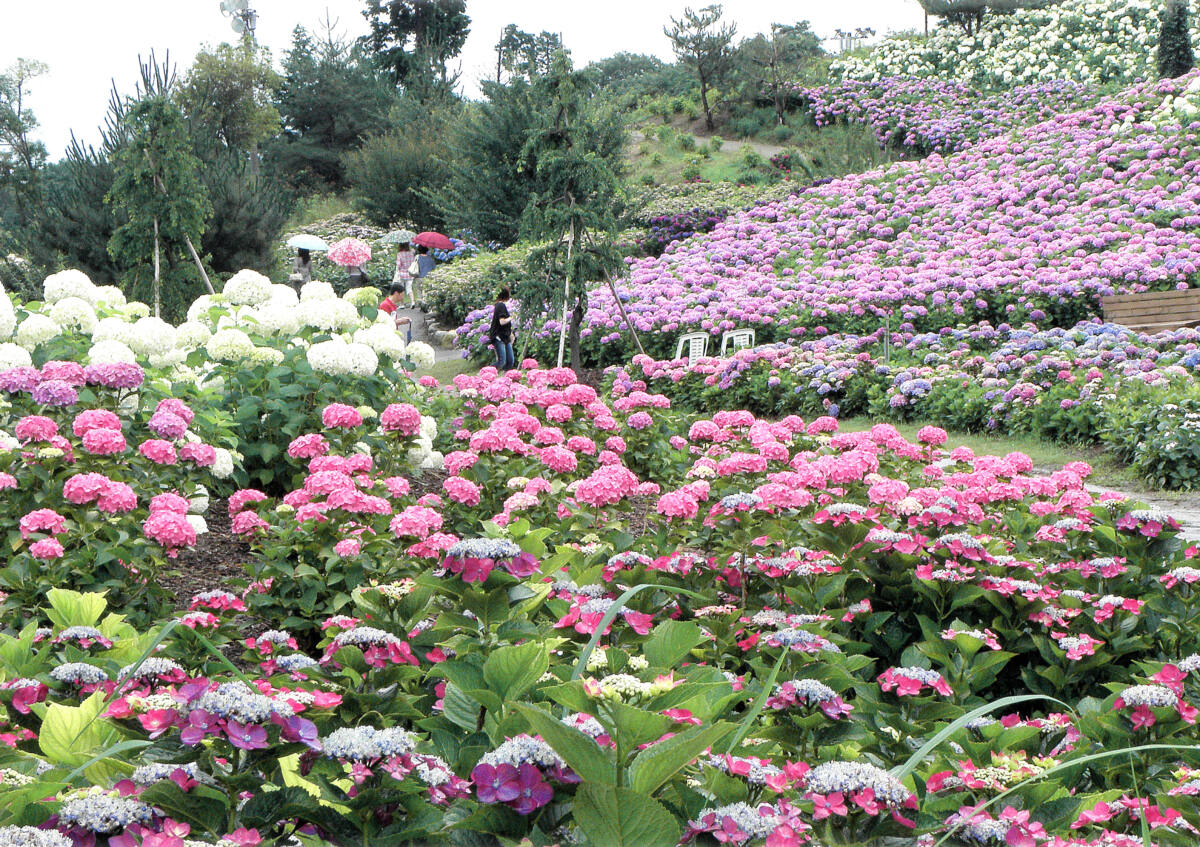福祉と環境を融合した花園「かざはやの里」～かっぱのふるさと～ - 津の時間。