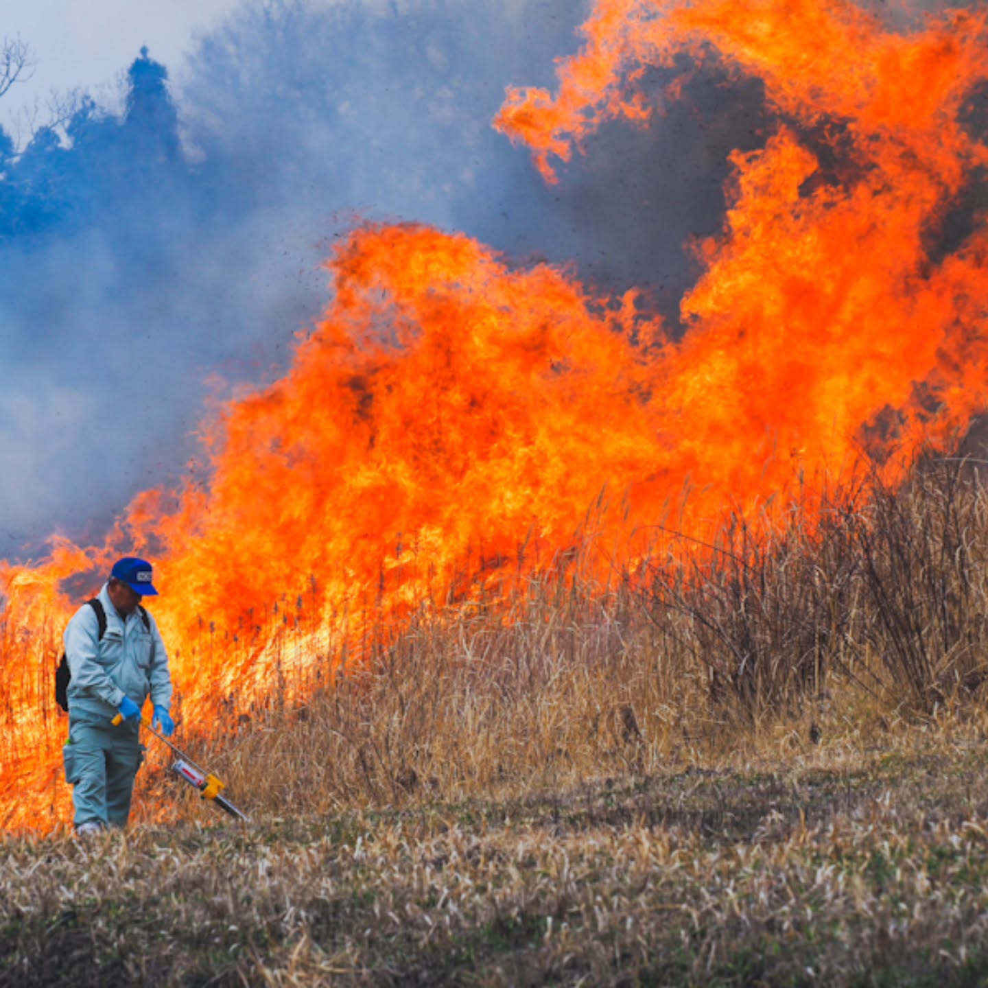 阿蘇山の通行止め箇所にご注意f ^_^ !TMAX530