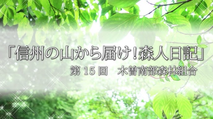 御嶽スキー場 4枚 木曽エリア 長野県南部 木曽・伊那・南信州