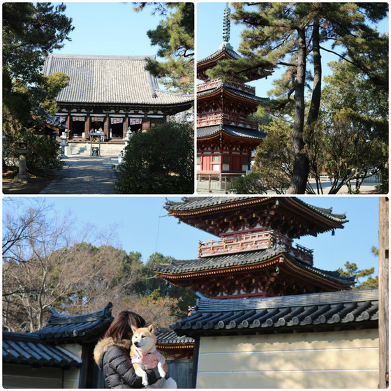 コロナ関連のお知らせ鶴林寺公式ホームページ