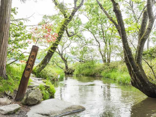 遠野物語ゆかりの地岩手 旅行の観光・オプショナルツアー予約 VELTRA