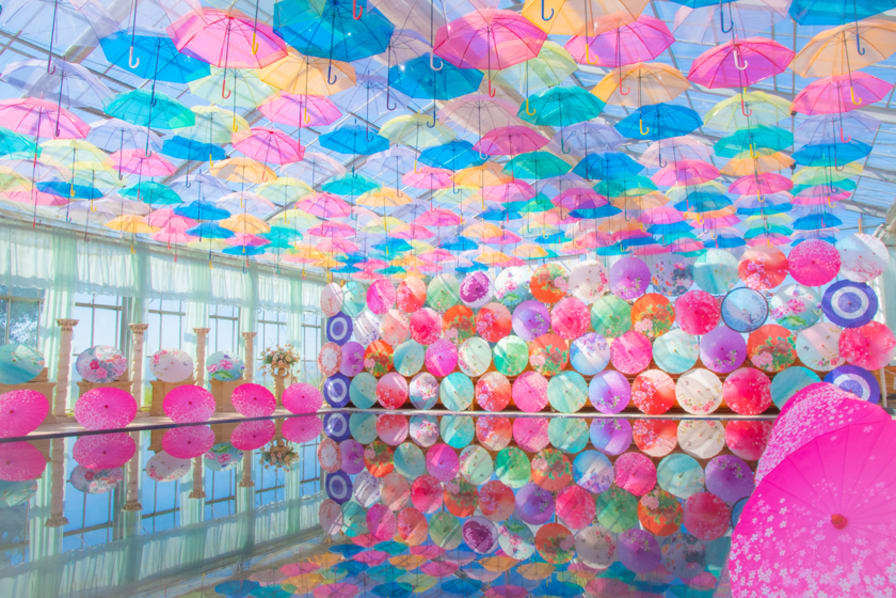 癒やしも写真映えも叶う！ 関東近郊「日帰りで行ける絶景」オススメ10選たびらい