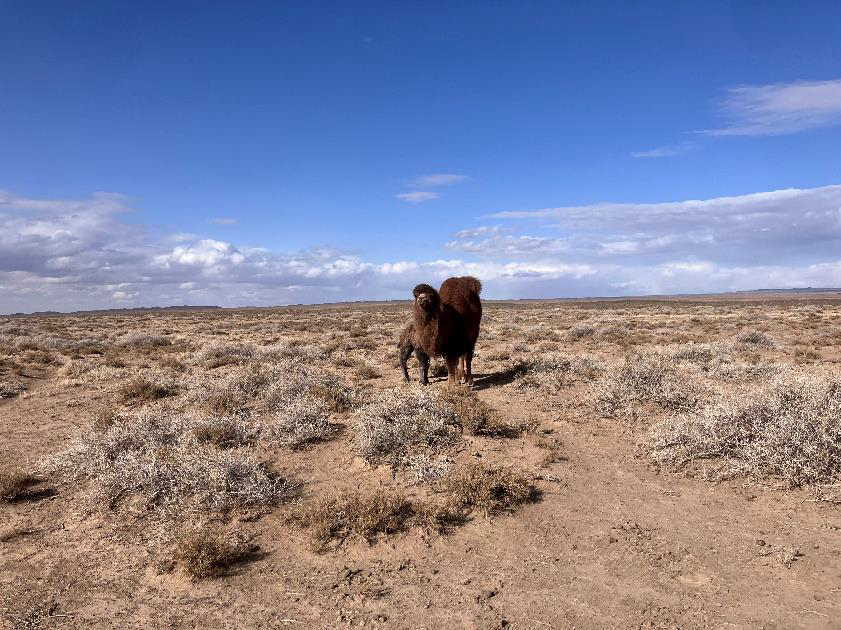 サインシャンド3泊4日ツアーの感想 – 費用や注意点、具体的なツアー内容を紹介ktymの国境越え
