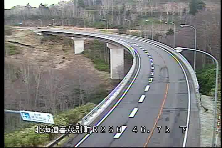 道東道でトレーラー炎上一部区間通行止め続く北海道千歳市通行止め道東道千歳恵庭千歳東トレーラー事故北海道札幌どさんこワイドどさんこワイド179どさんこワイド朝stvTikTokでニュース