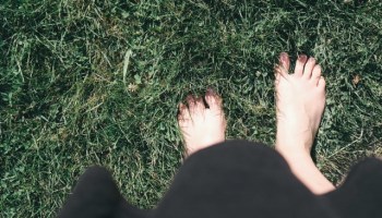 あつ森 操作方法一覧覚えておきたい便利な小ワザ あつまれどうぶつの森AppMedia