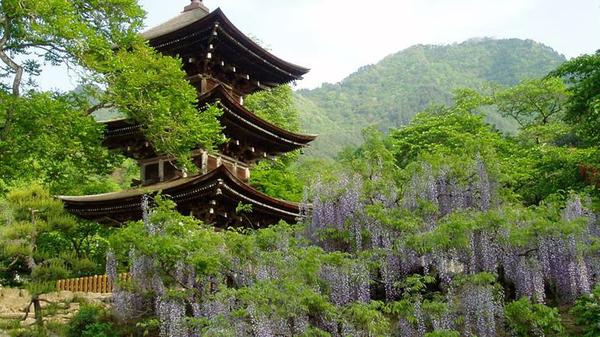 上田市の美しい春夏の観光名所