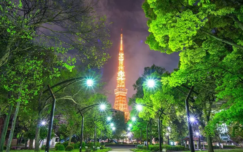 東京タワー やっぱり魅力的！東京のシンボルを眺めながら秋ピクニックMORE