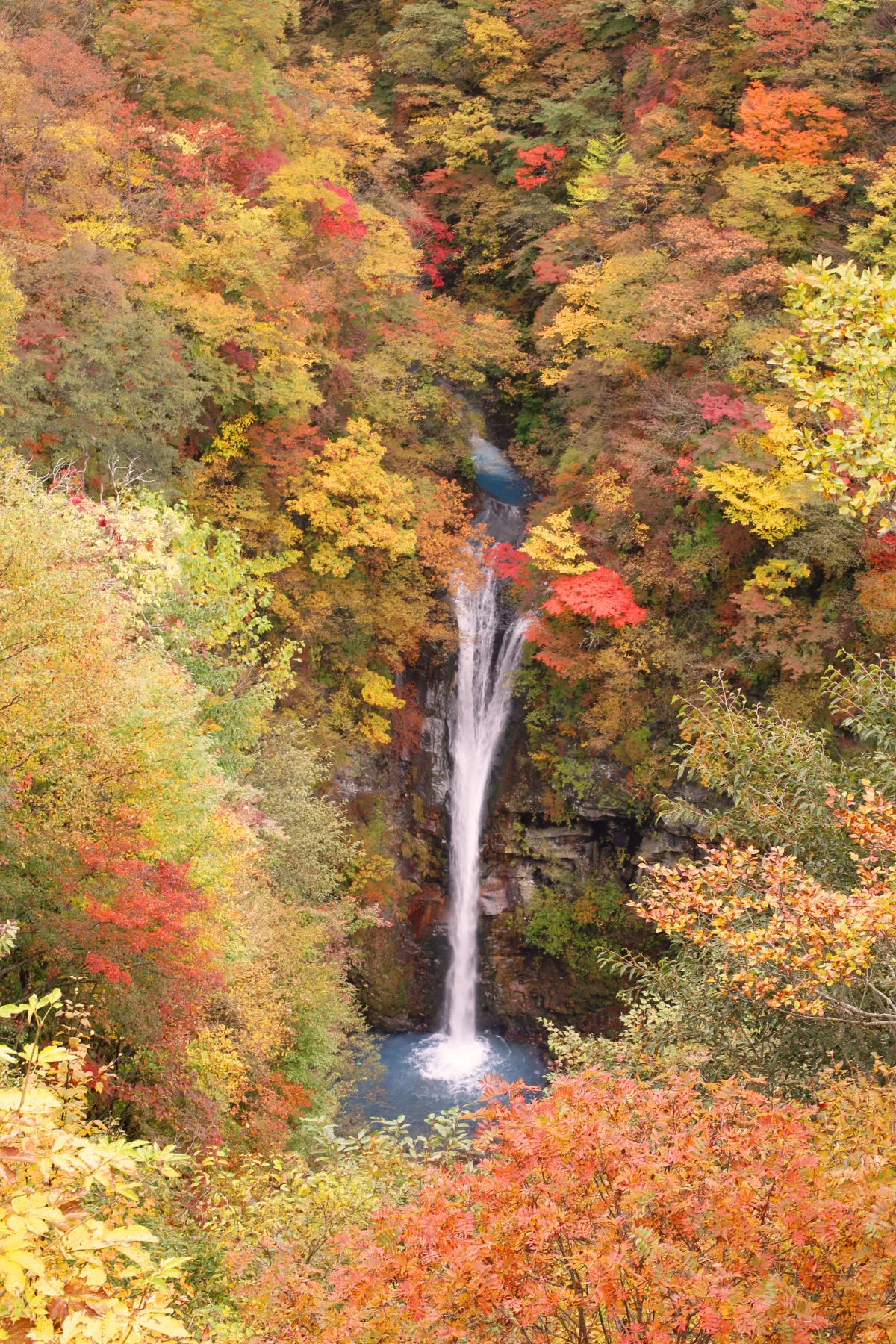 那須のフォトジェニックな観光スポット11選！スマホの充電をお忘れなく！RETRIP リトリップ