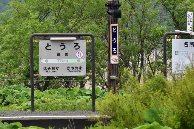 釧路湿原を走る釧網本線2019～ノロッコ号とサルルン展望台から眺める湿原列車 釧路 』鶴居・標茶 北海道 の旅行記・ブログ