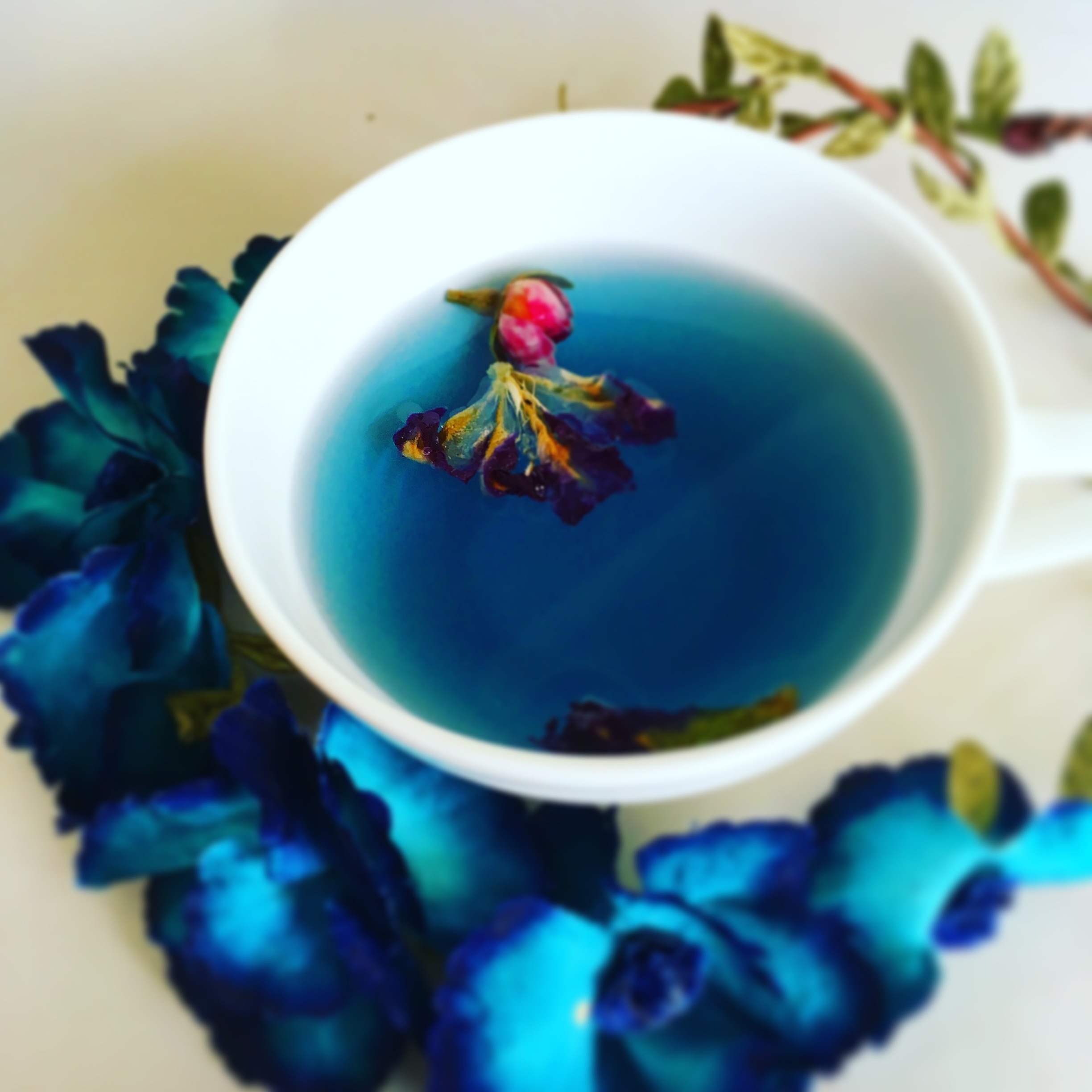 和歌の浦カフェ マーレライ 和歌山市・加太・和歌浦・カフェ -