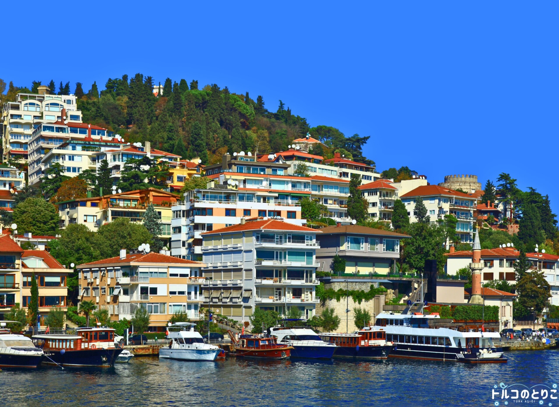 巨大な鎖 ビザンチンの金角湾封鎖作戦 : 写真でイスラーム