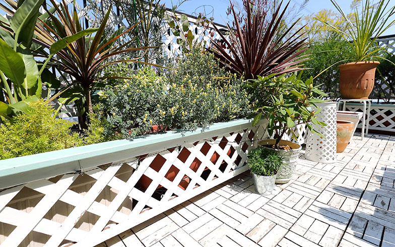 連休なので、 バンコクから飛行機で約1時間半✈︎✈︎✈︎ プーケットに来ています🏝️